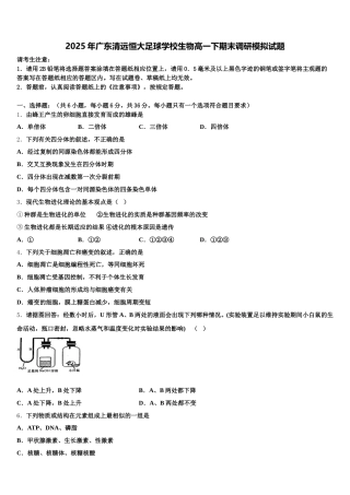 2025年广东清远恒大足球学校生物高一下期末调研模拟试题含解析