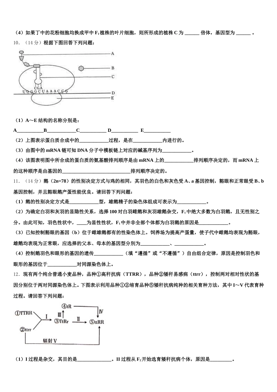 广东省广州市荔湾区真光中学2025届生物高一第二学期期末教学质量检测模拟试题含解析_第3页