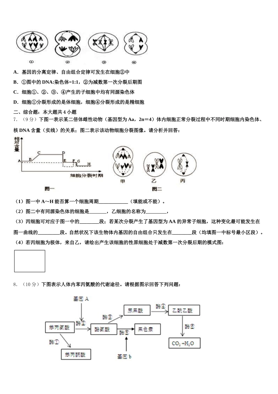 2025年广东省雷州市第一中学、徐闻中学生物高一第二学期期末综合测试模拟试题含解析_第2页