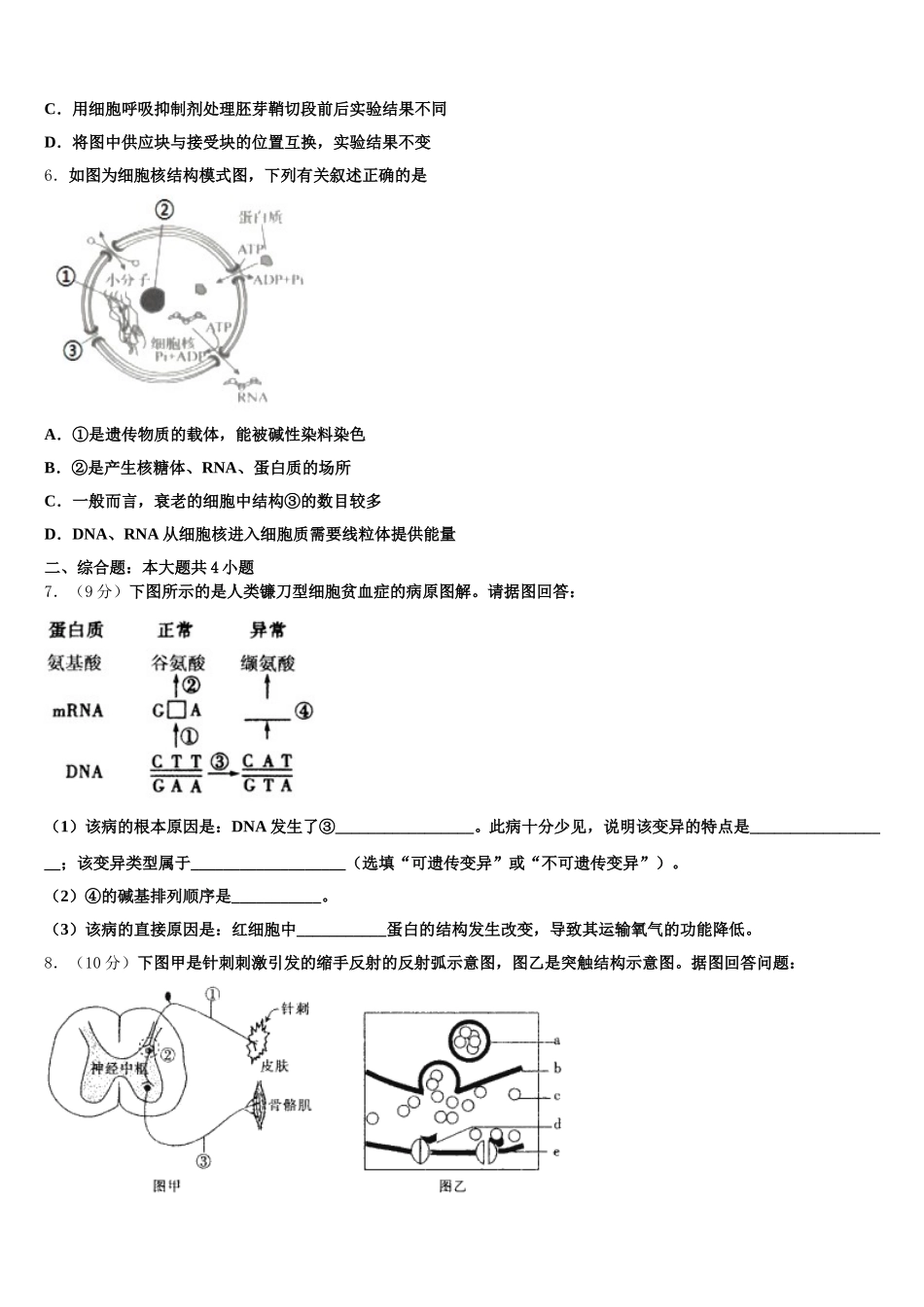 广东省云浮2024-2025学年高一生物第二学期期末统考模拟试题含解析_第2页