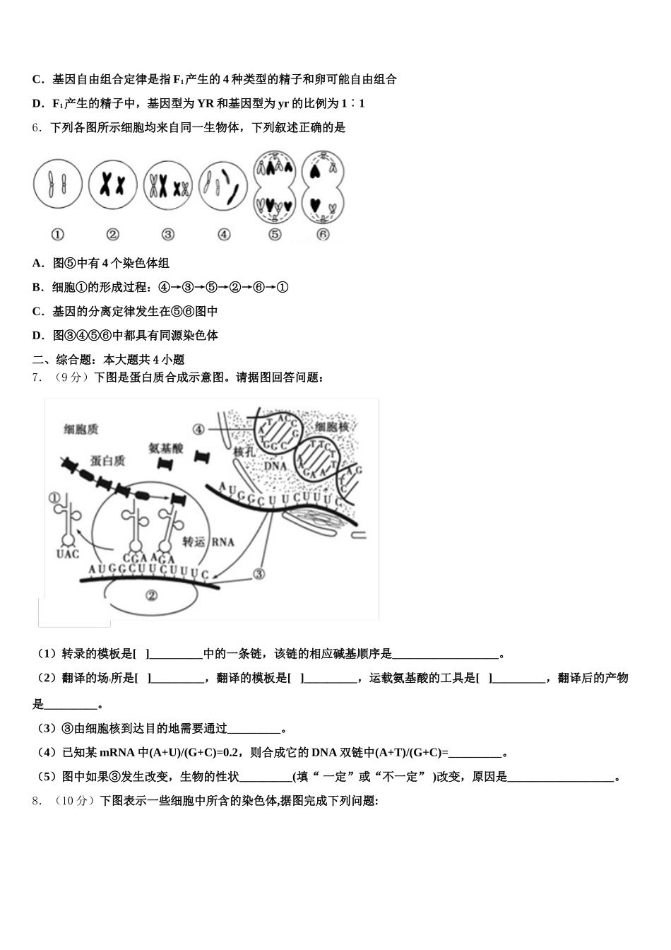 2025届广东省揭阳市惠来一中生物高一下期末调研试题含解析_第2页