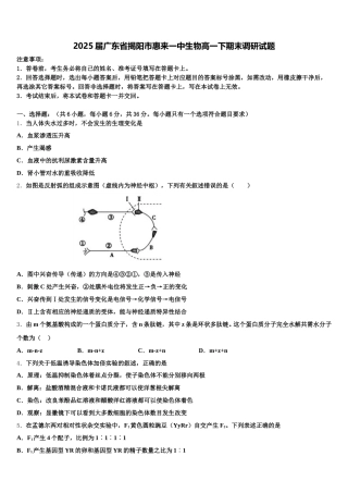 2025届广东省揭阳市惠来一中生物高一下期末调研试题含解析