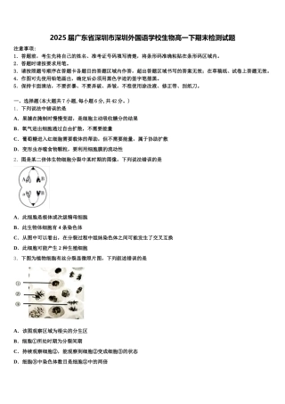 2025届广东省深圳市深圳外国语学校生物高一下期末检测试题含解析