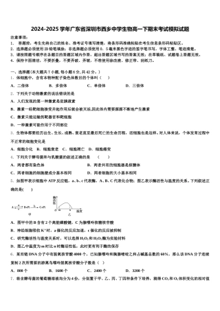 2024-2025学年广东省深圳市西乡中学生物高一下期末考试模拟试题含解析