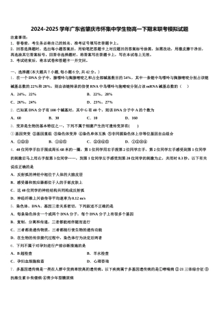 2024-2025学年广东省肇庆市怀集中学生物高一下期末联考模拟试题含解析