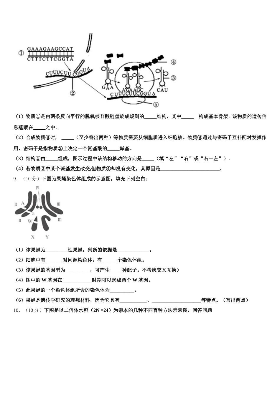 2025届广东省深圳市罗湖外语学校高一下生物期末教学质量检测试题含解析_第3页