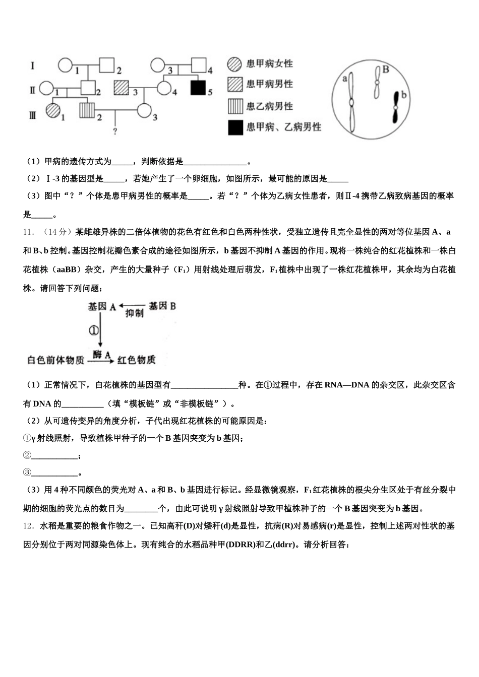 2025年广东省广州市华南师大附中高一下生物期末经典模拟试题含解析_第3页