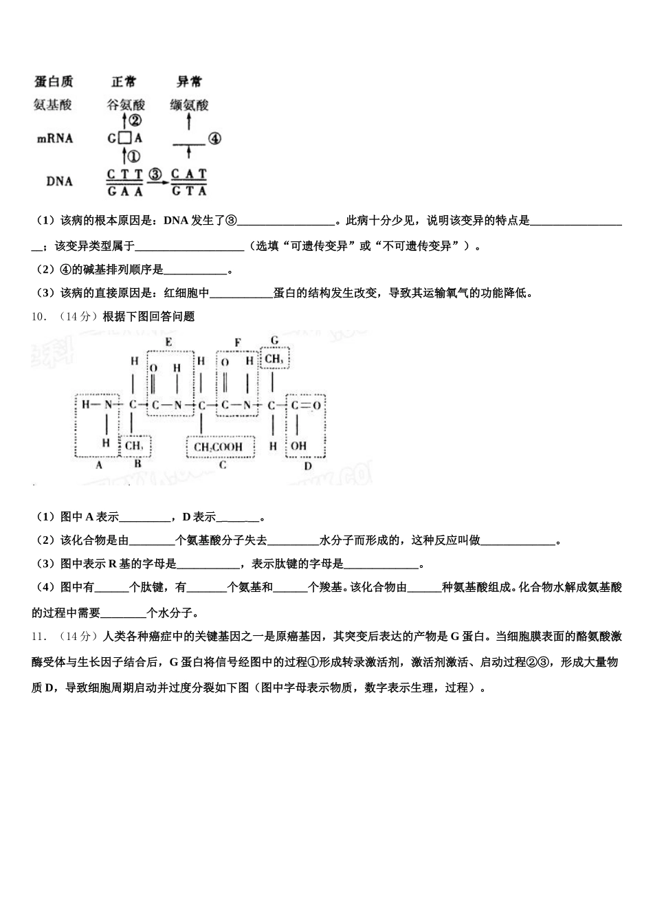 2025年广东省汕头市潮南实验学校校生物高一下期末预测试题含解析_第3页