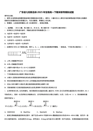 广东省七校联合体2025年生物高一下期末联考模拟试题含解析