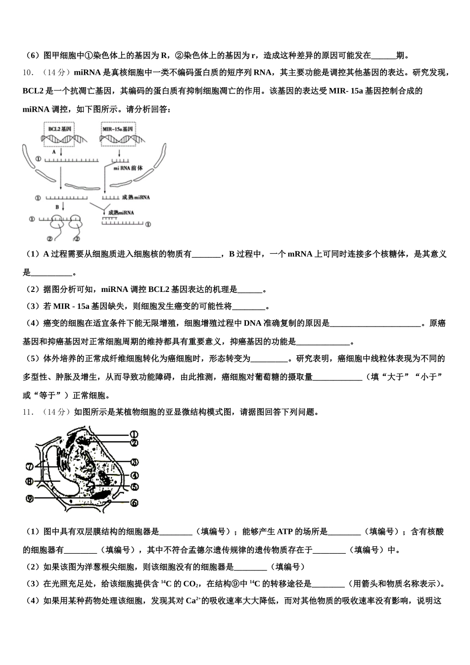 2025届广东二师学院番禺附学生物高一第二学期期末质量检测模拟试题含解析_第3页