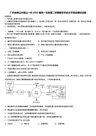 广东省佛山市佛山一中2025届高一生物第二学期期末学业水平测试模拟试题含解析