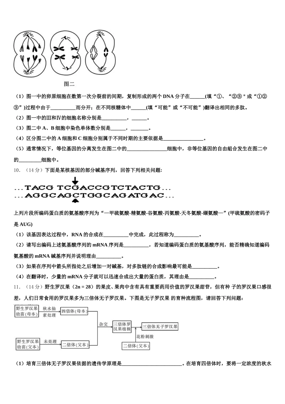 2025年广东省普宁市华美学校生物高一下期末综合测试试题含解析_第3页