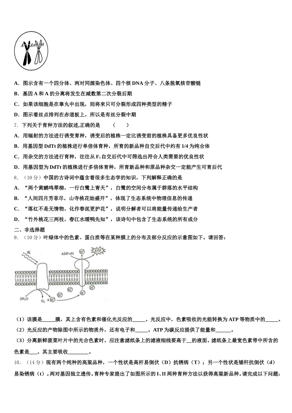 广东清远恒大足球学校2025届高一下生物期末质量跟踪监视试题含解析_第2页
