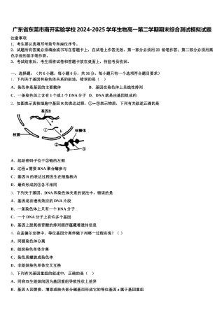 广东省东莞市南开实验学校2024-2025学年生物高一第二学期期末综合测试模拟试题含解析