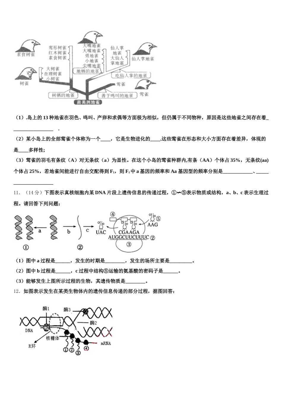 广东省深圳市南山区南头中学2025年高一下生物期末达标检测试题含解析_第3页