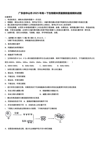 广东省中山市2025年高一下生物期末质量跟踪监视模拟试题含解析