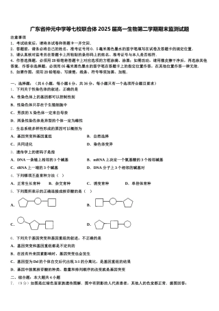 广东省仲元中学等七校联合体2025届高一生物第二学期期末监测试题含解析