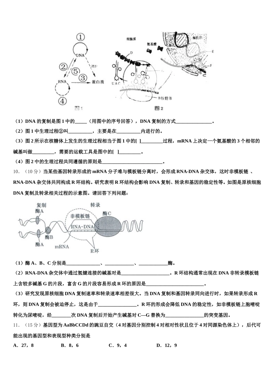 广东省揭阳普宁市2025年生物高一第二学期期末复习检测模拟试题含解析_第3页