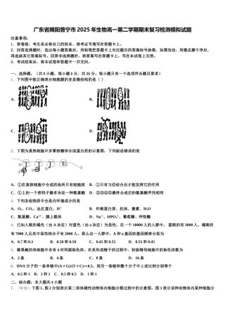 广东省揭阳普宁市2025年生物高一第二学期期末复习检测模拟试题含解析
