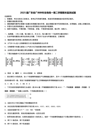 2025届广东省广州中科生物高一第二学期期末监测试题含解析