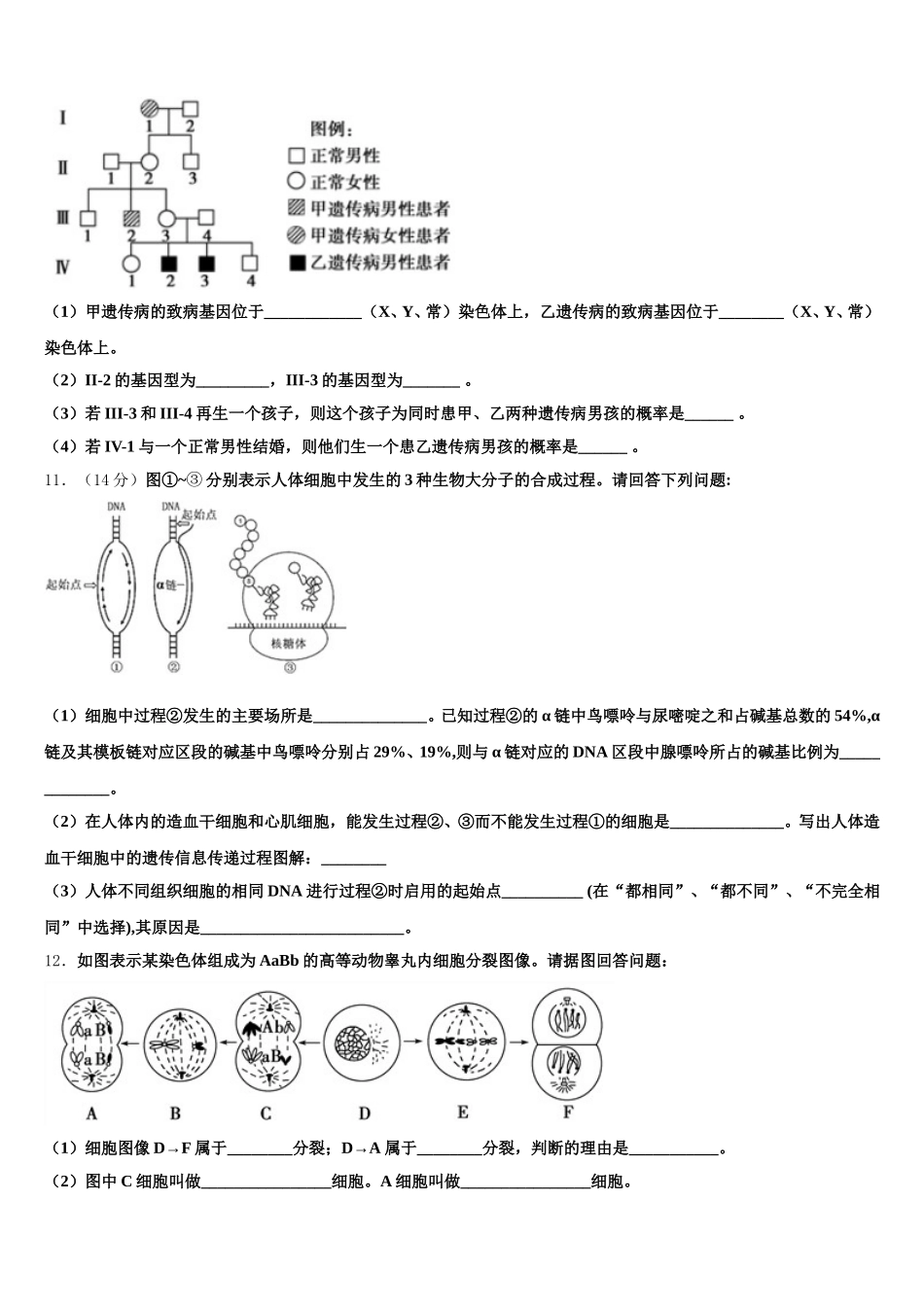 2025届广东省汕头市高一下生物期末考试模拟试题含解析_第3页