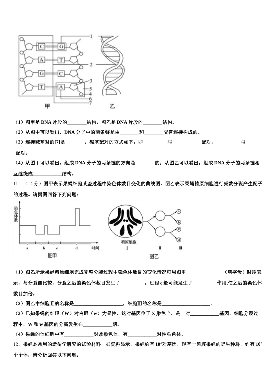 2025届广东省汕头市达濠华侨中学，东厦中学高一下生物期末学业质量监测模拟试题含解析_第3页