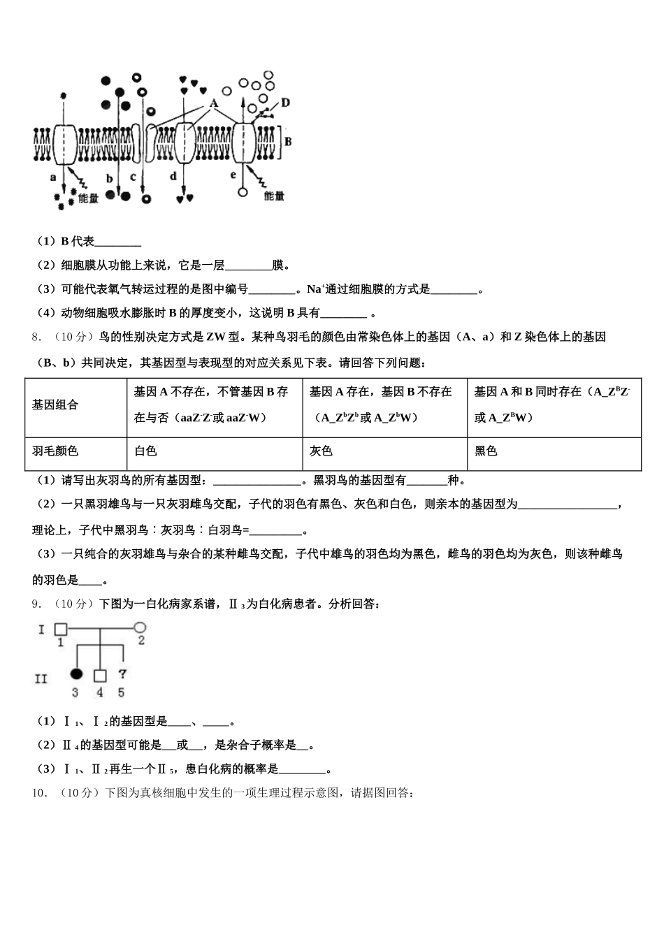2025届广东省佛山市三水区实验中学生物高一下期末复习检测试题含解析_第2页
