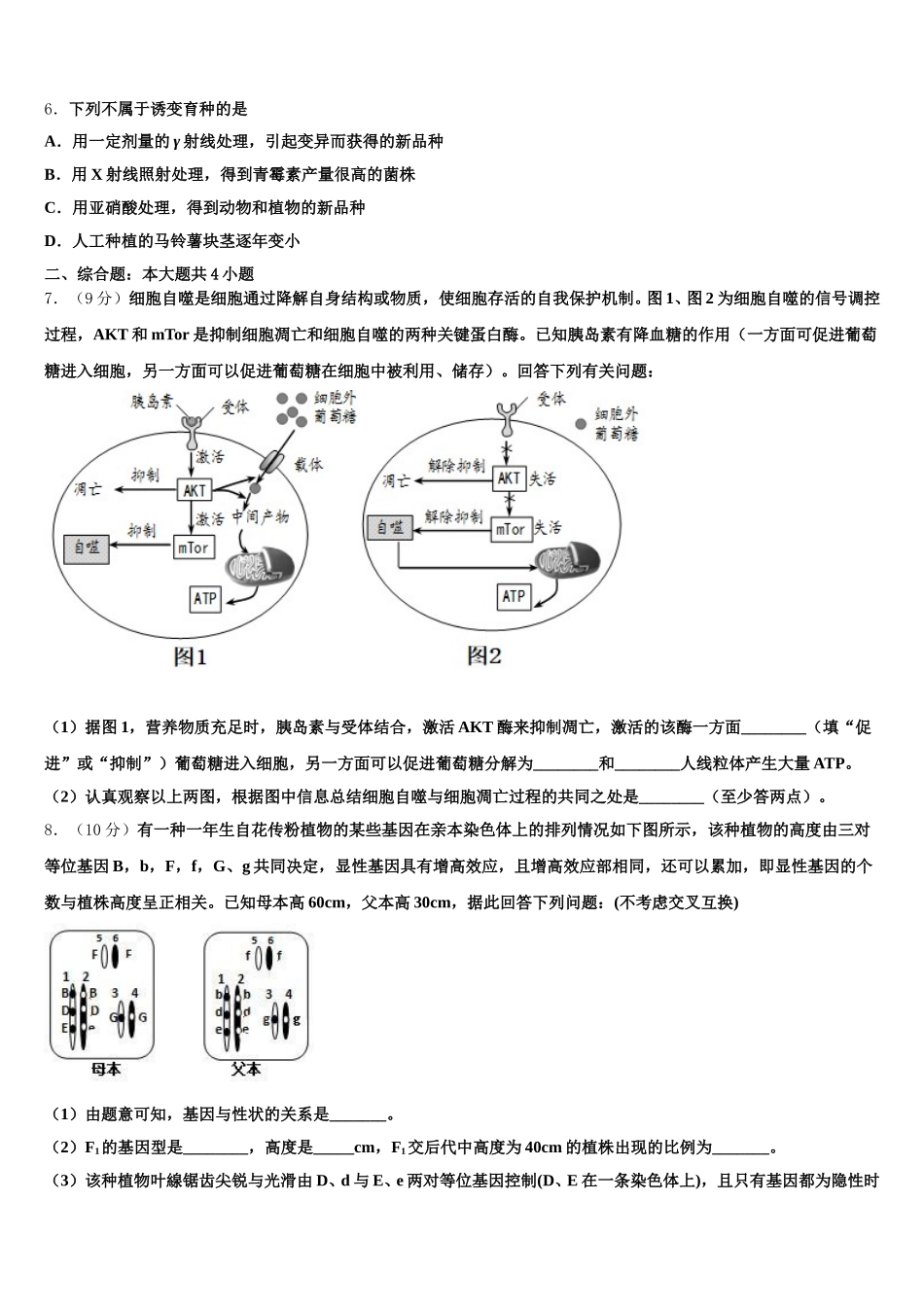 2025年广东省惠州市第三中学高一生物第二学期期末学业水平测试模拟试题含解析_第2页