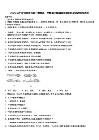2025年广东省惠州市第三中学高一生物第二学期期末学业水平测试模拟试题含解析