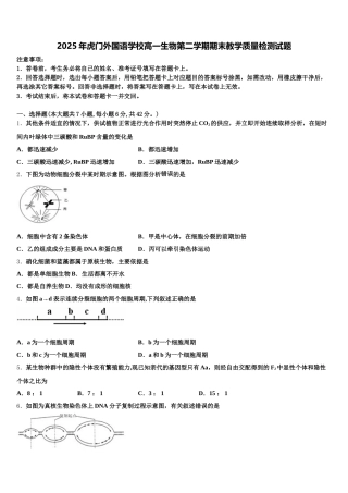 2025年虎门外国语学校高一生物第二学期期末教学质量检测试题含解析