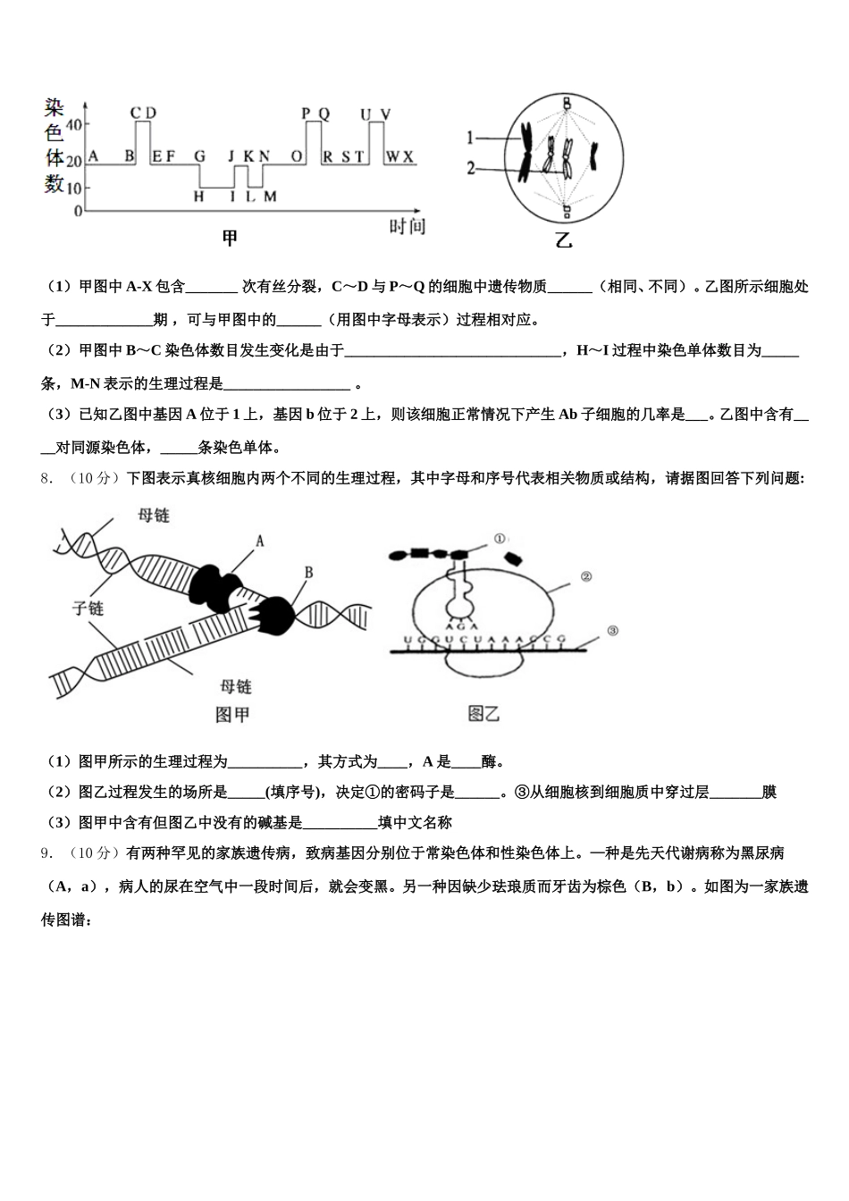 广东省汕头市潮阳区潮师高级中学2025届高一生物第二学期期末教学质量检测试题含解析_第2页