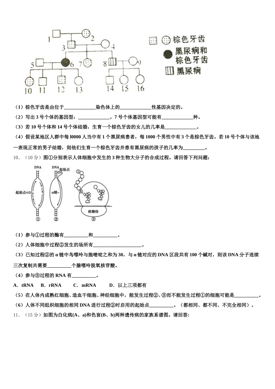 广东省汕头市潮阳区潮师高级中学2025届高一生物第二学期期末教学质量检测试题含解析_第3页
