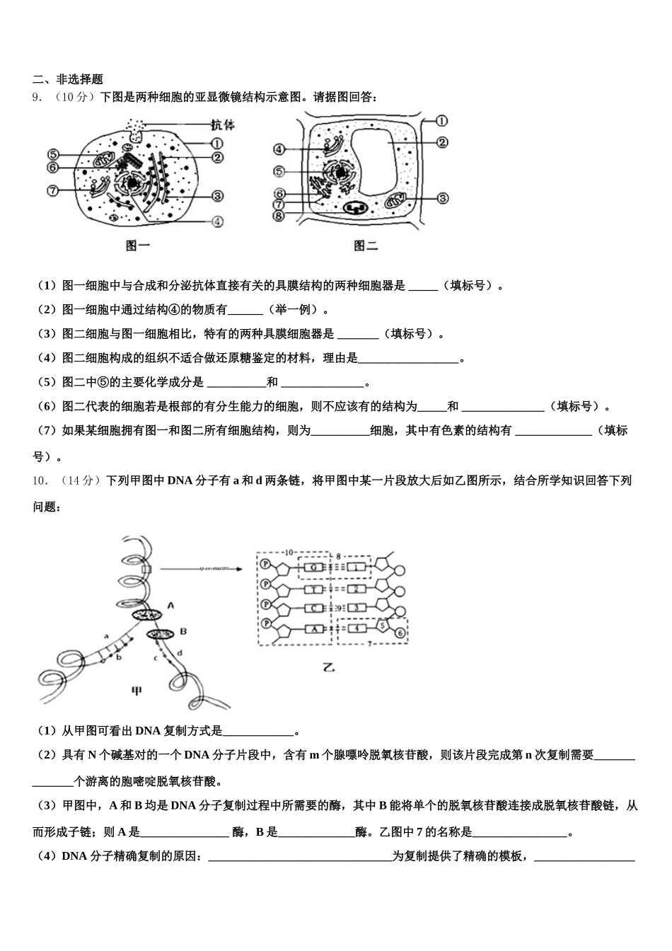 2024-2025学年广东省惠州市第一中学生物高一下期末学业水平测试试题含解析_第3页