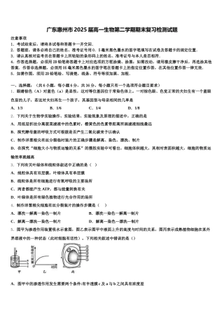 广东惠州市2025届高一生物第二学期期末复习检测试题含解析