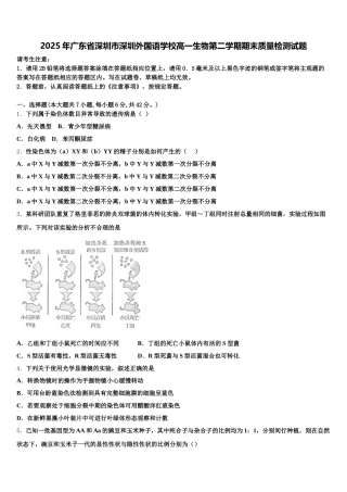2025年广东省深圳市深圳外国语学校高一生物第二学期期末质量检测试题含解析
