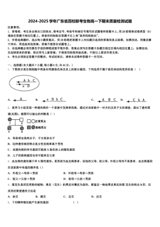 2024-2025学年广东省百校联考生物高一下期末质量检测试题含解析