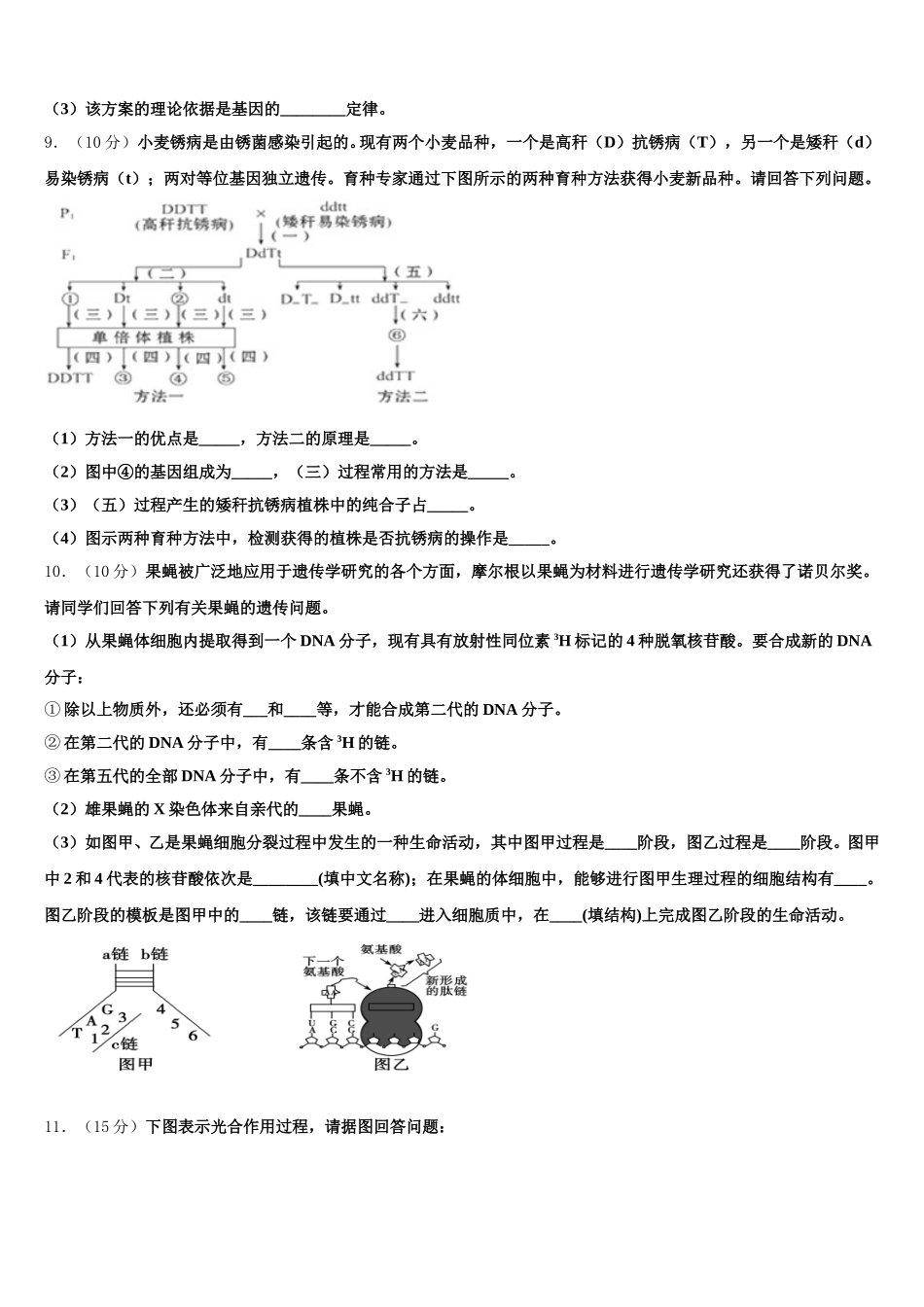 2025届广东省中山纪念中学高一下生物期末复习检测试题含解析_第3页