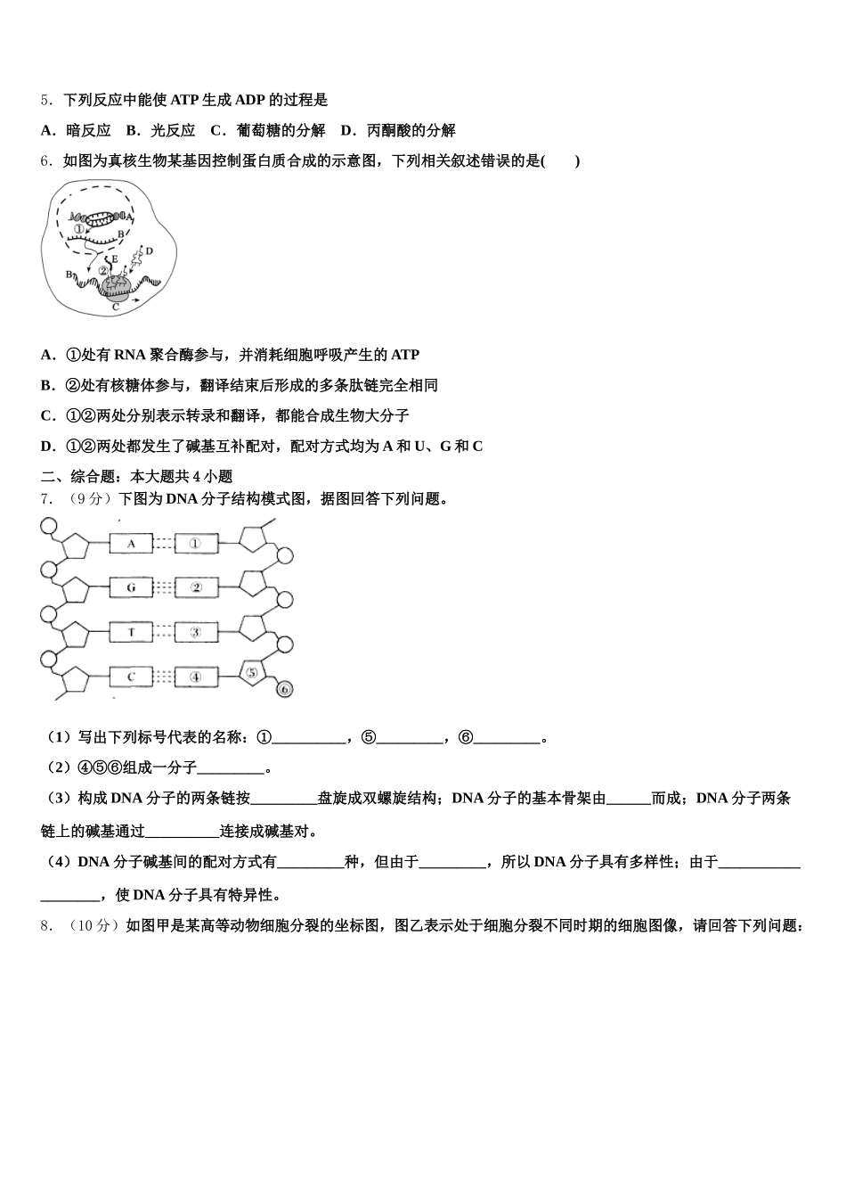 广东湛江市大成中学2024-2025学年生物高一第二学期期末监测模拟试题含解析_第2页