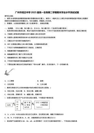 广州市培正中学2025届高一生物第二学期期末学业水平测试试题含解析
