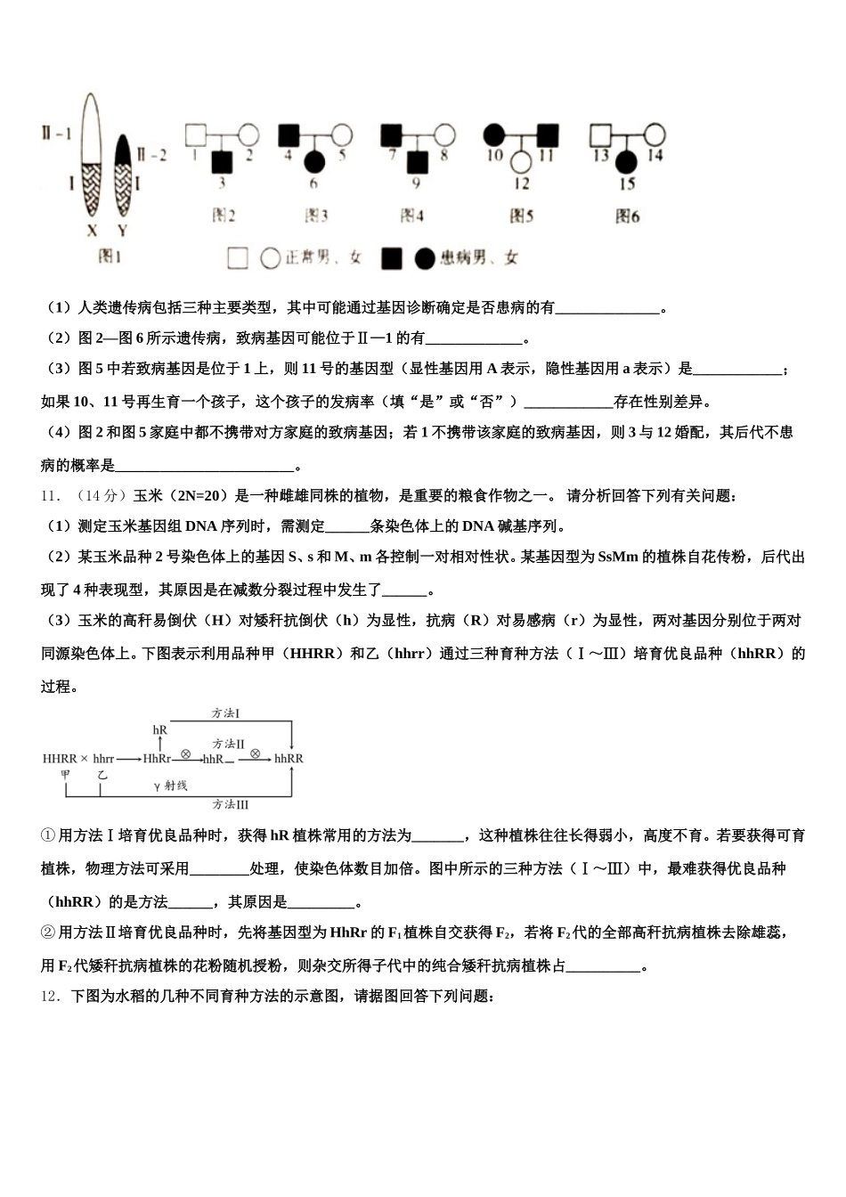 广东省潮州市饶平县饶平二中2025年高一下生物期末达标检测试题含解析_第3页