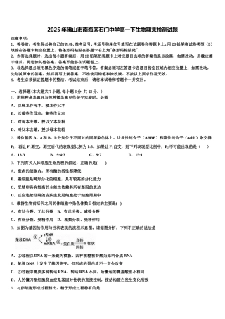 2025年佛山市南海区石门中学高一下生物期末检测试题含解析