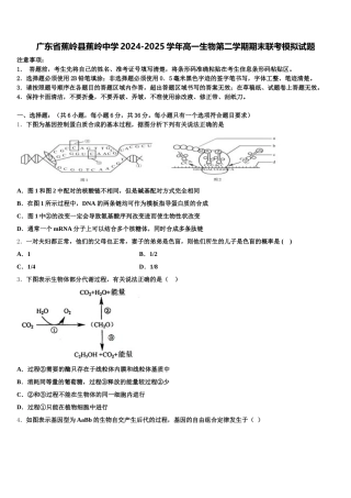 广东省蕉岭县蕉岭中学2024-2025学年高一生物第二学期期末联考模拟试题含解析