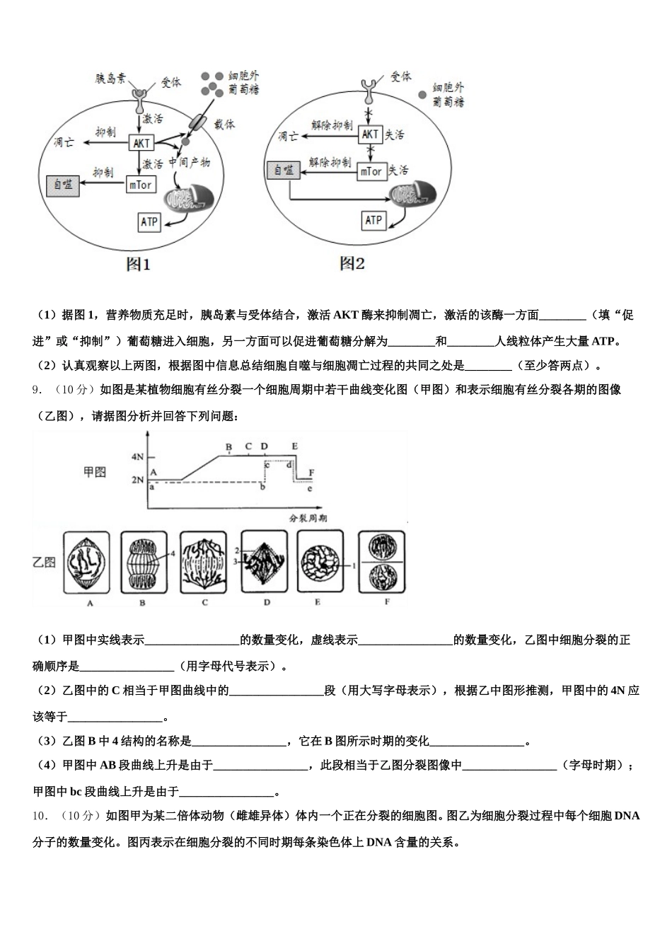 2025年广东省广州市广东第二师范学院番禺附中高一生物第二学期期末学业水平测试模拟试题含解析_第3页