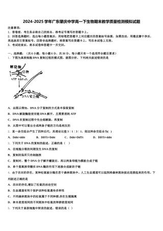 2024-2025学年广东肇庆中学高一下生物期末教学质量检测模拟试题含解析