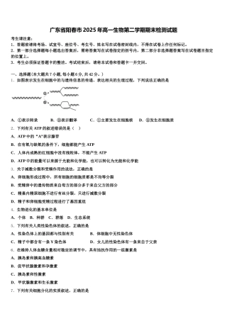 广东省阳春市2025年高一生物第二学期期末检测试题含解析