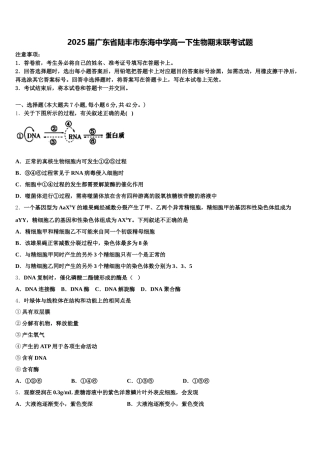 2025届广东省陆丰市东海中学高一下生物期末联考试题含解析