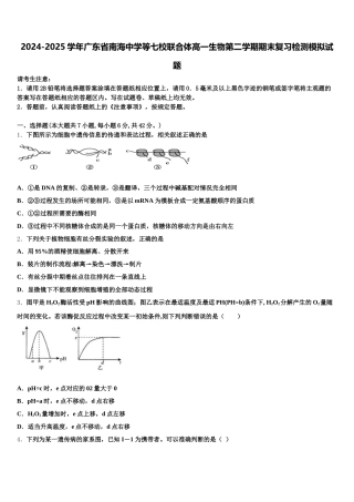 2024-2025学年广东省南海中学等七校联合体高一生物第二学期期末复习检测模拟试题含解析
