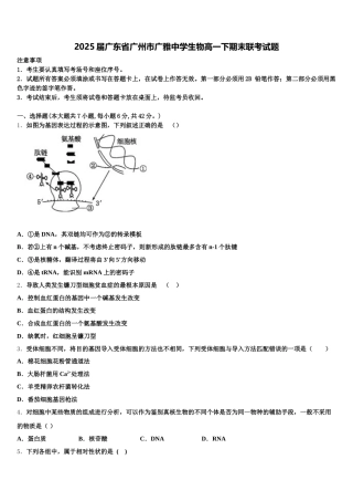 2025届广东省广州市广雅中学生物高一下期末联考试题含解析