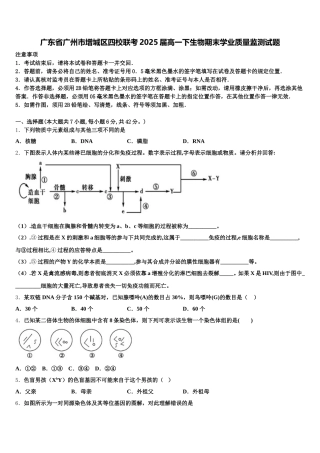广东省广州市增城区四校联考2025届高一下生物期末学业质量监测试题含解析