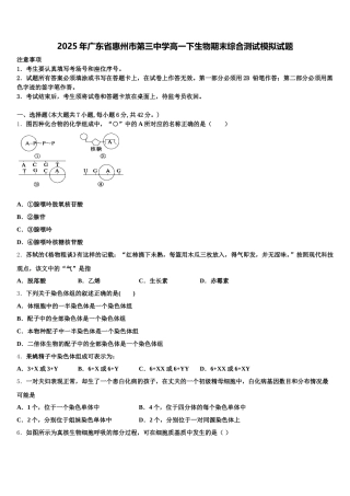 2025年广东省惠州市第三中学高一下生物期末综合测试模拟试题含解析